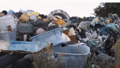 UAE Zeloop Blockchain token application partners with PhilanthroInvestors