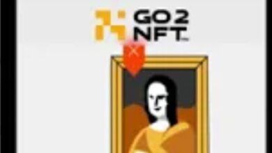 Skey Blockchain invests 5 million USD in UAE Based Go2NFT platform