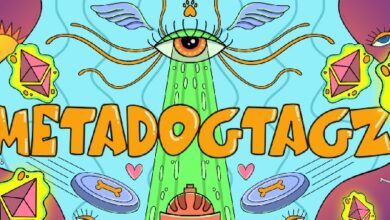 Lebanese Dog activist to launch MetaDogztags NFT Collection