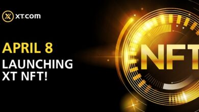 Dubai Based XT.com launches XT NFT marketplace