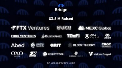 UAE Crypto VCs invest in cross chain app Bridge Network