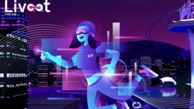 Livaatverse, a Metaverse with a local flavor