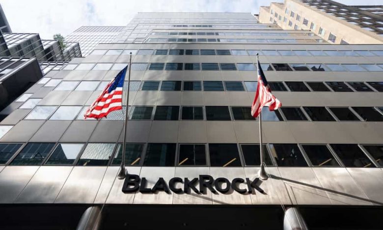 Blackrock Ceo Discusses Developments In Digital Assets And Potential Of 