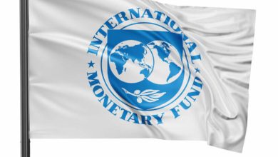 "النقد الدولي" يسعى إلى تنمية قدرات العملة الرقمية الصادرة عن المصرف المركزي