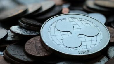 يبل" تقود جهودًا بقيمة 78 مليون دولار لدعم ترشيح مؤيدين للكريبتو في الانتخابات الأميركية