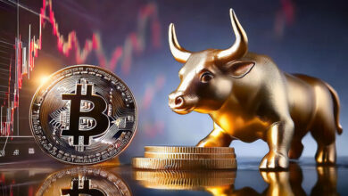 institutional investors, bullish sentiment, bull market, Sygnum Future Finance Report 2024, Sygnum's Survey, Bitcoin ETFs, Direct token investments, stablecoins, crypto investment, crypto news, blockchain news