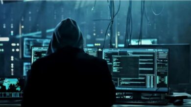 43% من عمليات الاحتيال في مجال العملات الرقمية في 2024 تستهدف محافظ جديدة