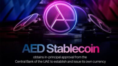 شركة AED Stablecoin تحصل على موافقة مبدئية من المركزي الإماراتي للبدء بإصدار عملتها المستقرة