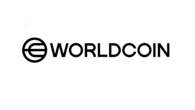 Worldcoin price decline from $11.78 to $1.80 over 6 months