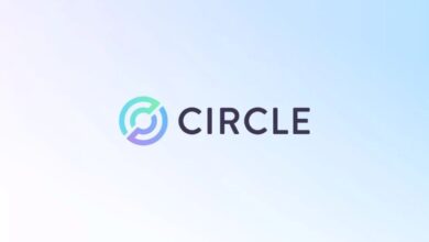 Circle IPO announcement on NYSE June 2025 q2 financial results q2 loss, ARC launch, layer 1 blockchain for stablecoin finance