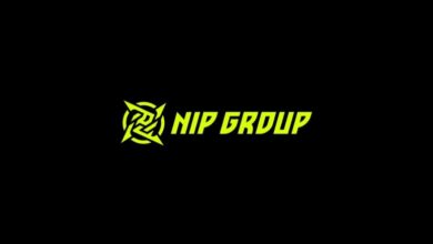 NIP Group